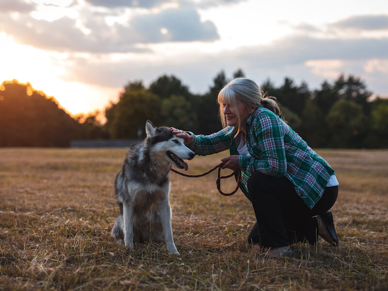 Woman in plaid shirt kneels and pets a husky dog on a leash in an open field during sunset. The sky is partly cloudy, and trees line the background, creating a serene outdoor scene.